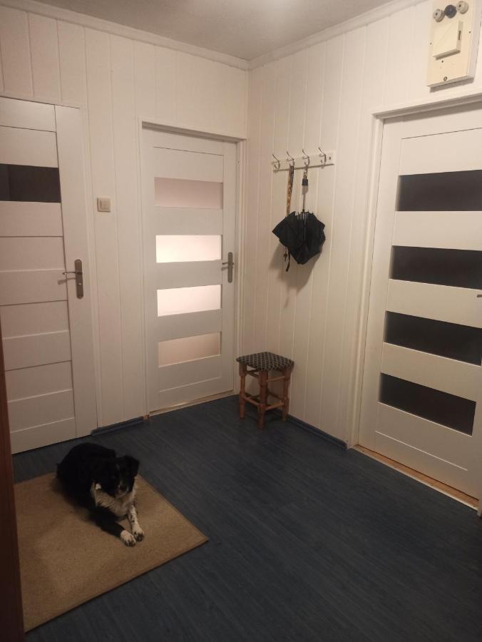 Apartament Za Rogiem Papierni Duszniki Zdrój Exteriér fotografie